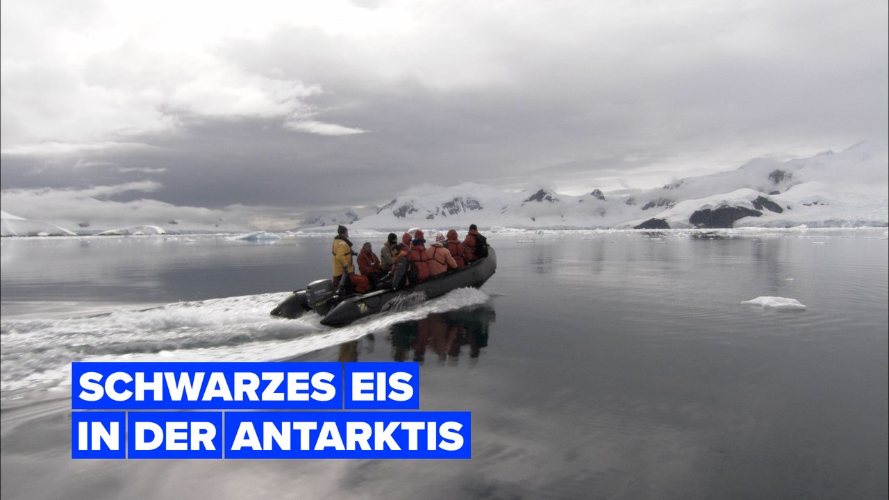 Die Antarktis färbt sich schwarz