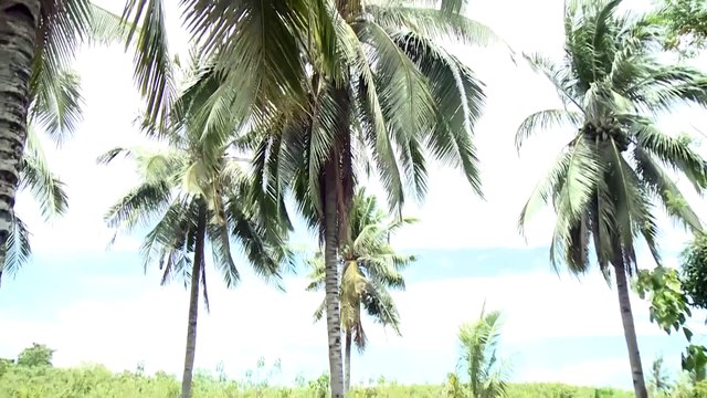 Trade agreement sa pagitan ng Pilipinas at U.S., mas pinatatag pa