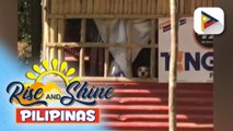 Sunshine Stories | Isang furbaby, muling nakita ang furmom matapos ang anim na taon