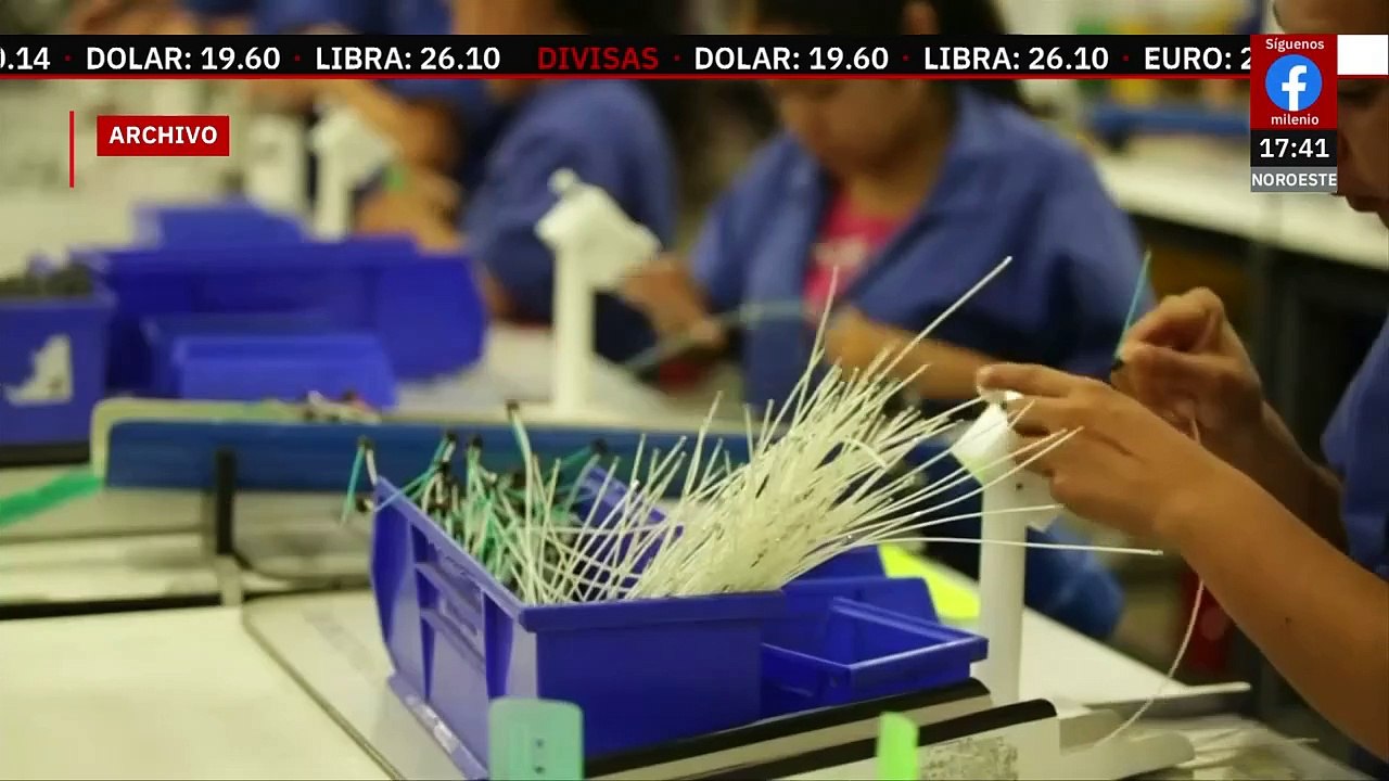 IMSS reporta baja de empleos en abril; Ana Karina Martínez explica las causas
