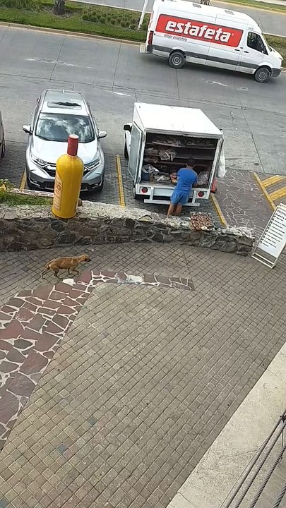 Best thief