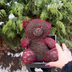 The cleaning transformation of a dirty teddy bear found in the trash! 🧸🧼