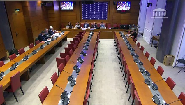 Défaillances des pouvoirs publics face aux plans de licenciements : Auditions diverses - Lundi 5 mai 2025