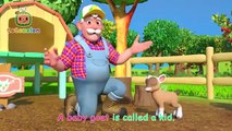 Old MacDonald Song with Cute Baby Farm Animals  CoComelon Nursery Rhymes & Kids Songs
