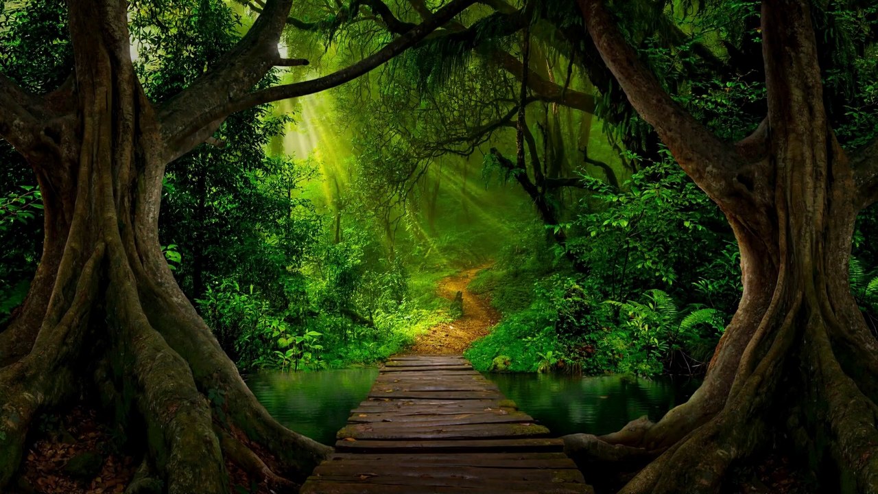 🌼 Healing Music for Deep Sleep & Emotional Balance | Peaceful Nature Sounds for Relaxation 🌊🌙