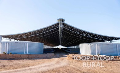 Prime Yarralinka Feedlot on Adelaide Plains Now for Sale 🐄