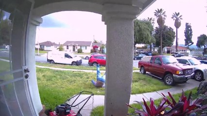 Hilarious Security Camera Fails You Have to See! 😂