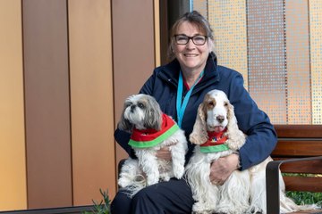 Canberra Hospital's Therapy Dogs Reduce ICU Patients' Anxiety and Pain 🐶