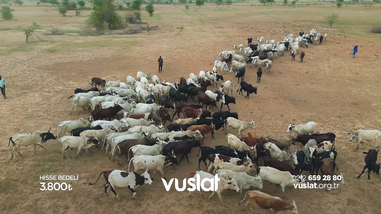 Kurbanı Kardeşliğe Vesile Kılalım