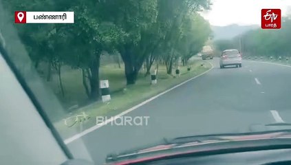 அசால்டாக சாலையை கடந்த சிறுத்தை - வைரலாகும் வீடியோ!