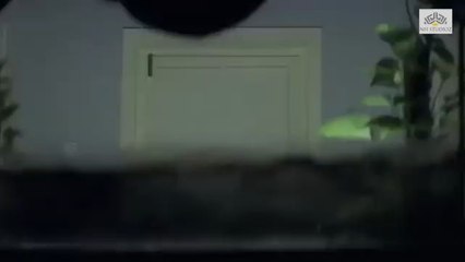 Salman Khan and Preity Zinta's Romantic Scene That Will Melt Your Heart ❤️