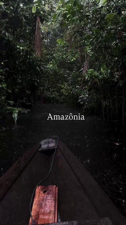 Amazing View with Rain