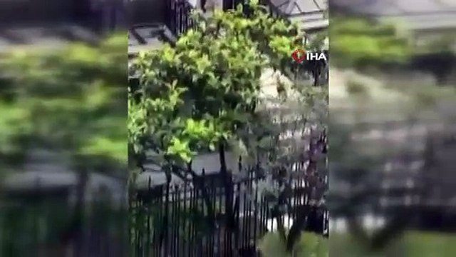 Orhan Gencebay'ın eşi Sevim Emre Gencebay komşusuyla kavga etti