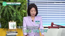 MZ 조폭들이 벌이는 한 단계 진화한 금융사기 #MZ #금융사기