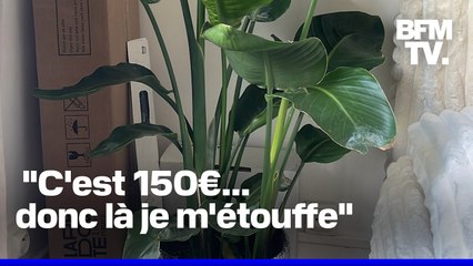 Salomé, journaliste à BFMTV a reçu 150 euros d'amende pour avoir transporté une plante dans le métro