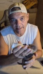 Los audios de Frank Cuesta en los que admite haber comprado y envenenado a animales