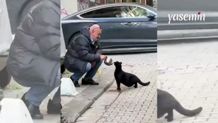 Kediye su veren vatandaş Rus turistin dikkatini çekti! "Dünyamız henüz tam çürümemiş"