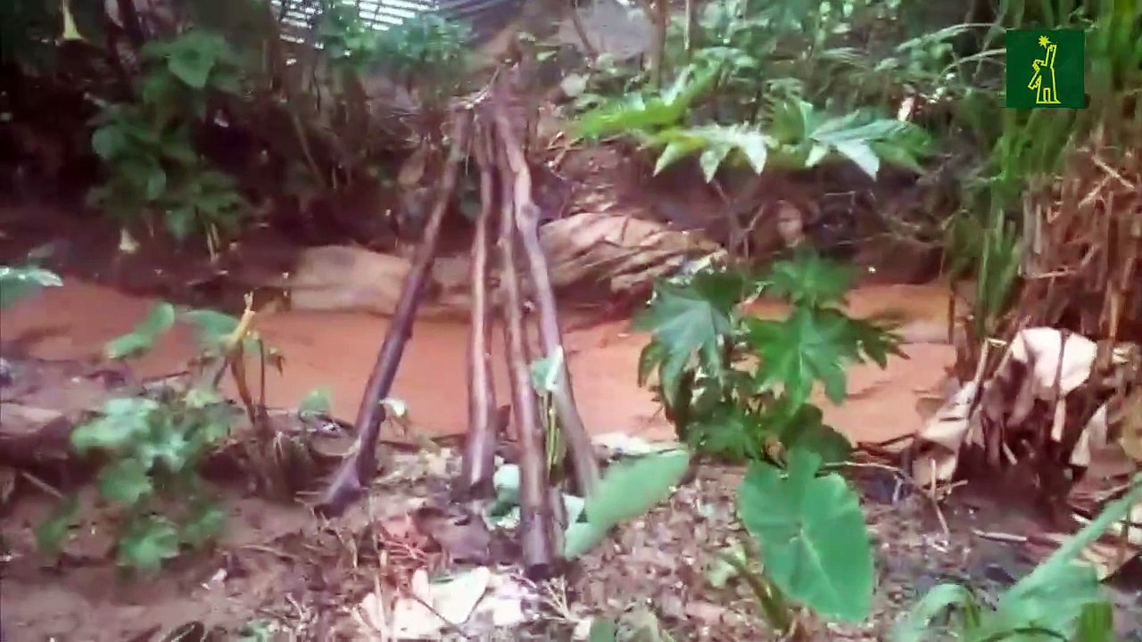 Fuertes lluvias dejan un fallecido, daños materiales y localidades incomunicadas en varias provincias del Cibao