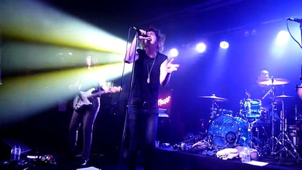 The Delta Riggs - Junk Sick