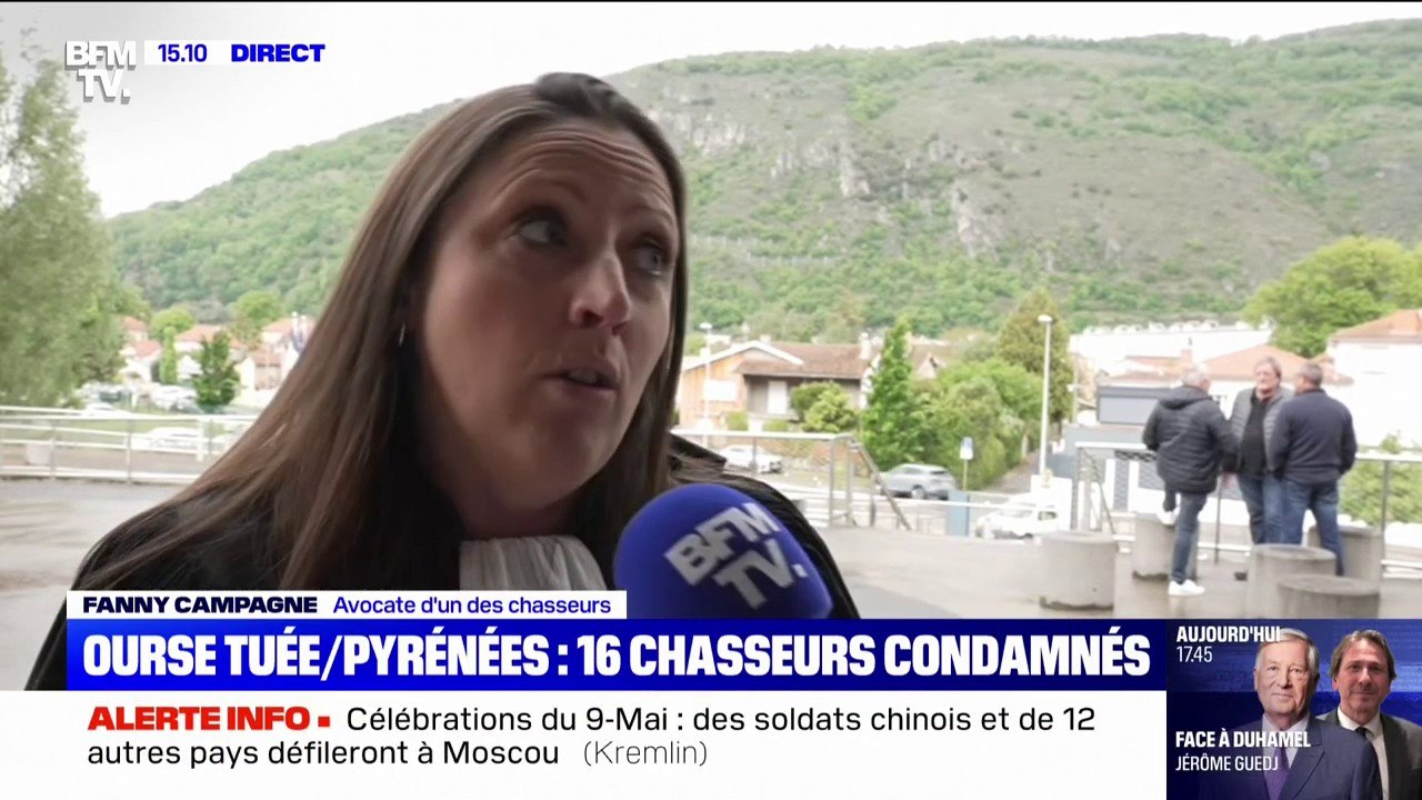 Ourse tuée dans les Pyrénées: l'avocate d'un des chasseurs dénonce "un jugement en demi-teinte"