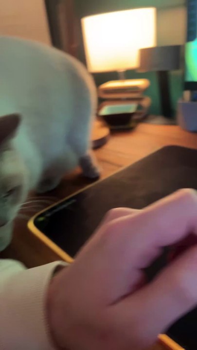 video4