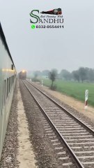Green Line crossing Freight Train #trainjourney #travelvlog #traintravel #viralshorts #viral - Rail Fanning With Sandhu (1080p, h264)