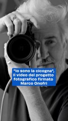 "Io sono la cicogna", il video del progetto fotografico firmato Marco Onofri