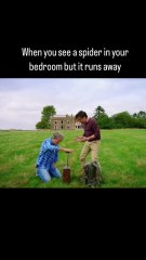 Bros Try to Blow Up House to Kill Spider, Epic Fail? #FUNNY