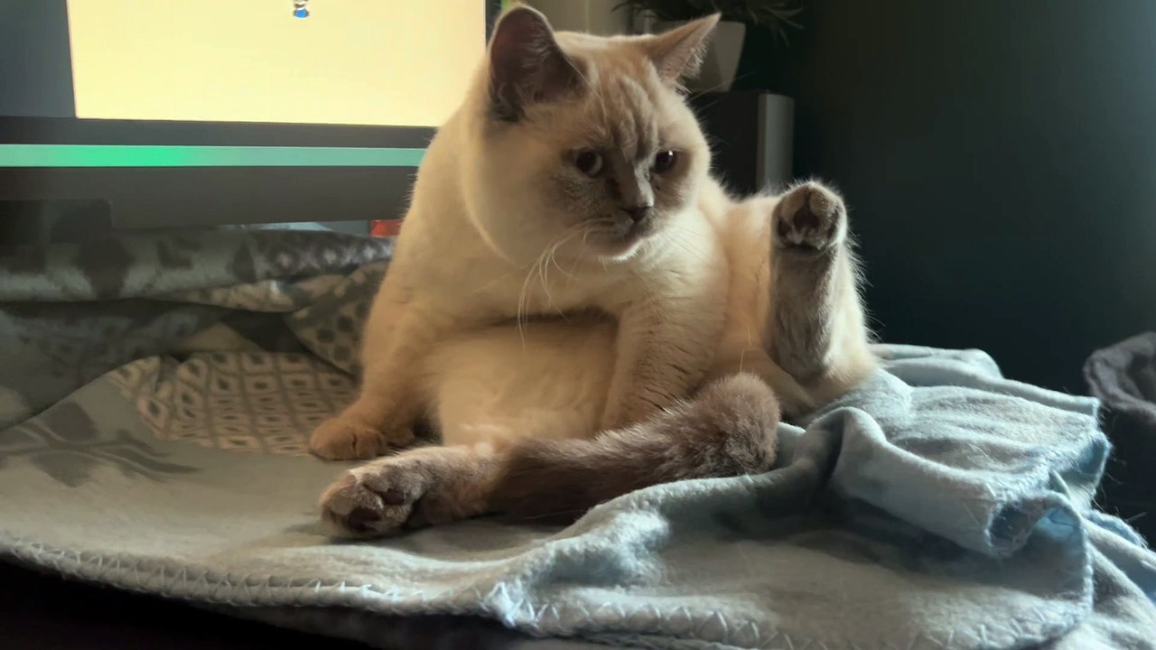 video6