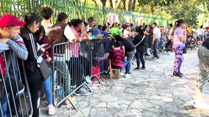 Juiz ordena que Trump admita 12.000 refugiados nos Estados Unidos