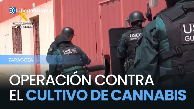 Desmantelada una plantación de marihuana en Cadrete con cuatro detenidos