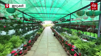 പറുദീസ തേടി സഞ്ചാരികള്‍, സൂപ്പർ സ്റ്റാർ ഇന്നും വാഗമണ്‍ തന്നെ; പ്രതീക്ഷയേറ്റി ഫ്ലവർ ഷോയും