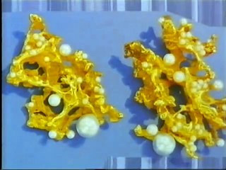 Discover Janko Strižić and Pingu's Fun Adventures 🐧