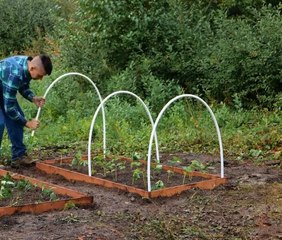 Yard Goals! Clever Tricks for a Picture-Perfect Lawn!