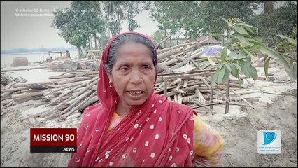 যমুনার ভাঙনে বিলীন পাকরুল! ভিটেমাটি হারানো মানুষের হাহাকার #জামালপুর #মাদারগঞ্জ #নদীভাঙন #পাকরুল