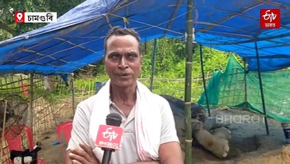 মৃত্যু যন্ত্ৰনাত গীতা, প্ৰিয়ংকা চোপ্ৰাৰে থকা সজীৱ স্মৃতি সামৰি গীতাৰ কাষত মাউত ৰবি