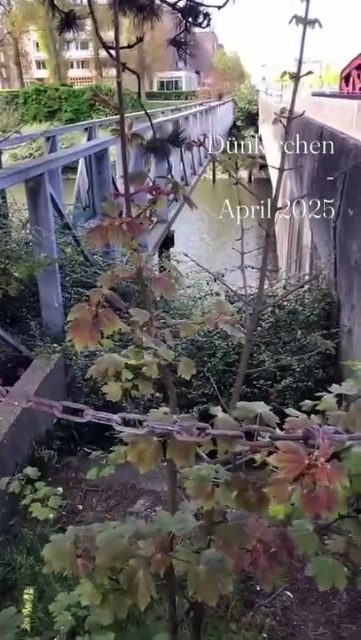 Dünkirchen - April 2025 Folge 10