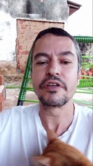 Quem são os Illuminatis.