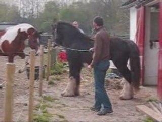 Rencontre avec mac lou