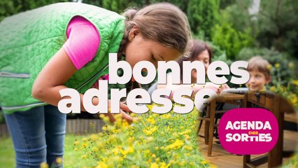 Agenda des Sorties du 7 au 9 mai 2025