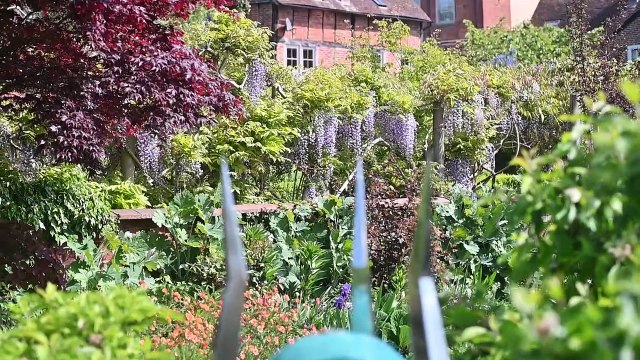Ludlow Open Gardens preview