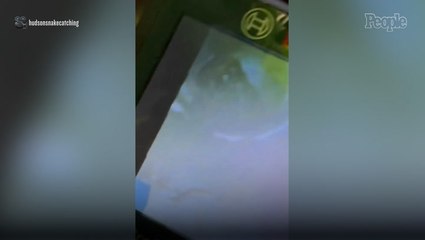 Homeowners Wake Up at 2 A.M. to Discover Snake Slipping into Sewage Pipes — and Have to Force the Reptile Through Their Toilet