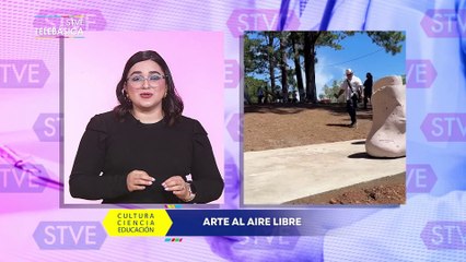STVE Informa: Arte al aire libre