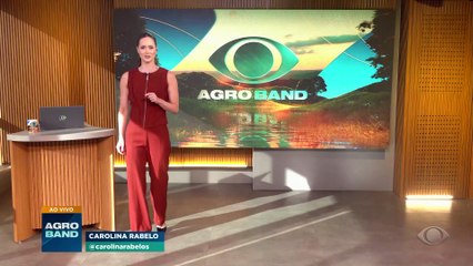 Vinícolas do Cerrado produzem vinhos campeões