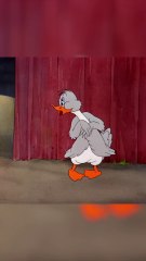 Part 12 #tomandjerry #shorts #tometjerry #cartoons