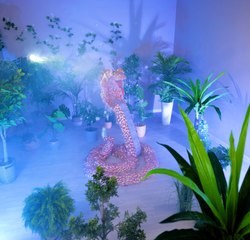 De la poubelle au trésor : BRICOLAGE créatif à partir de matériaux recyclés !