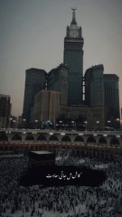 Kaash mil jaati saadat 😍😍