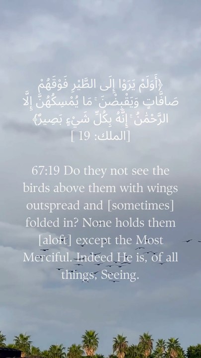 67:19 کیا وہ اپنے اوپر پرندوں کو نہیں دیکھتے جو پر پھیلے ہوئے اور (کبھی) لپٹے ہوئے ہیں؟  رحمٰن کے سوا ان کو کوئی نہیں پکڑ سکتا۔  بے شک وہ ہر چیز کو دیکھنے والا ہے۔