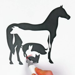 How many animals can you find here🐎