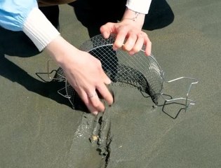 From Shore to Structure! Crafting Cement & Glass with Beach Sand!